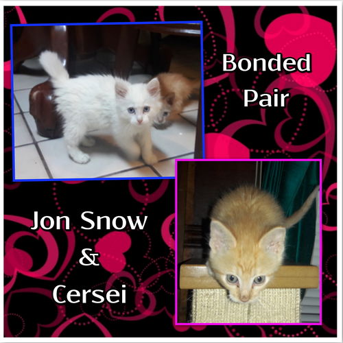 Jon Snow