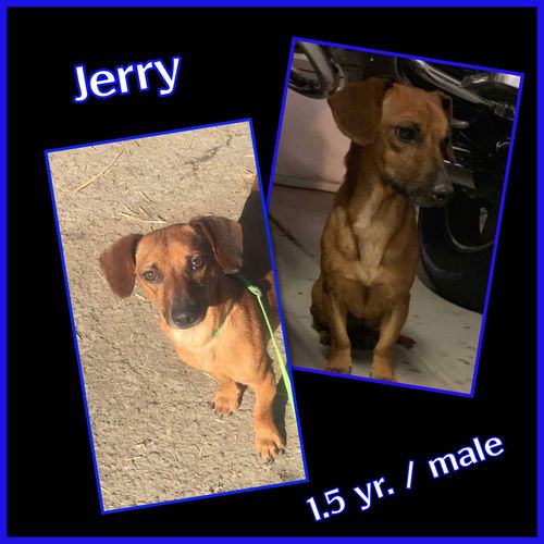 Jerry