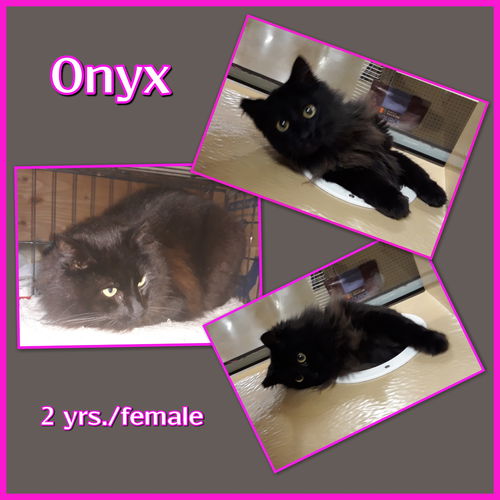 Onyx