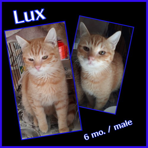 Lux