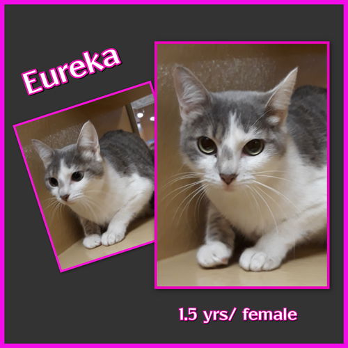 Eureka