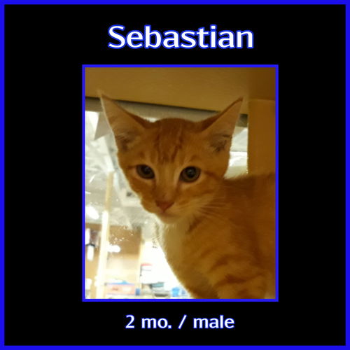 Sebastian