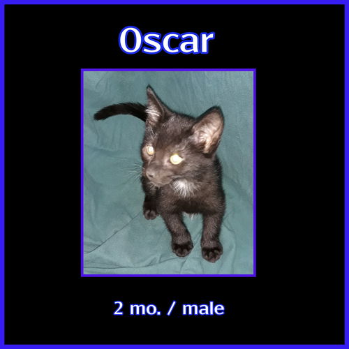 Oscar