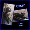 Oscar