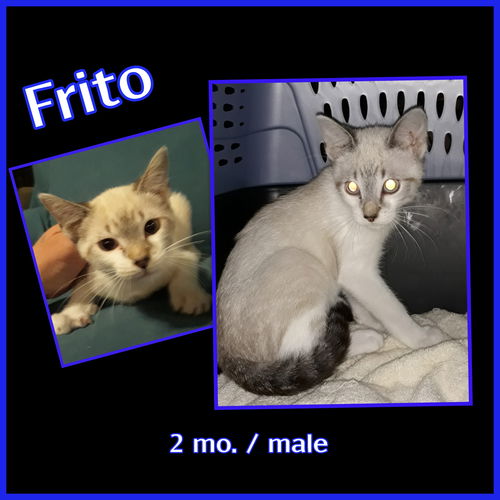 Frito