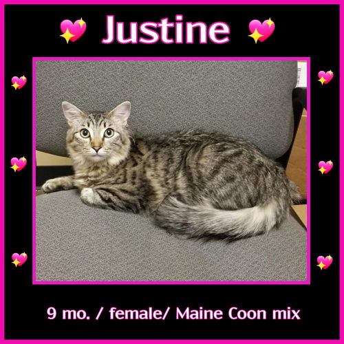 Justine
