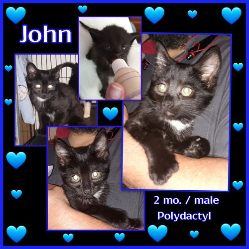 John