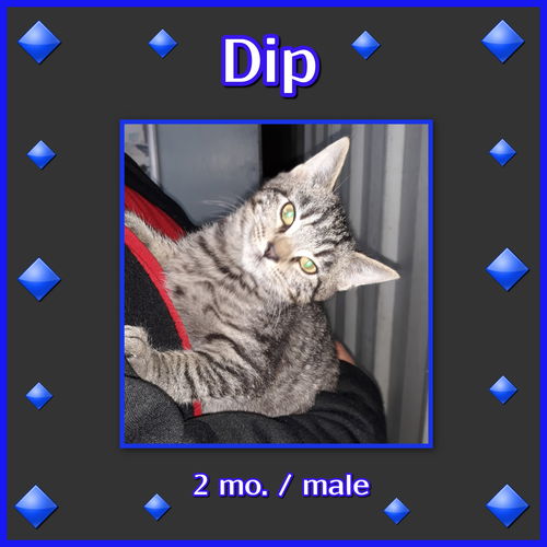 Dip