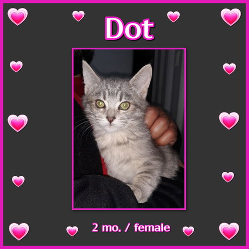 Dot