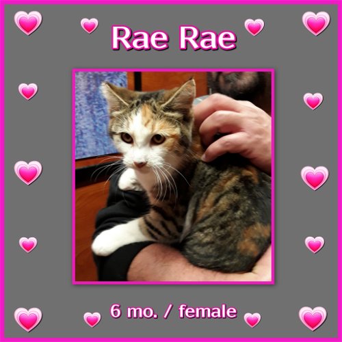 Rae Rae