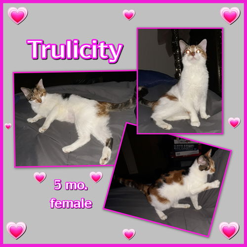 Trulicity