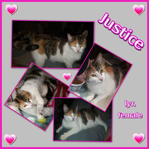 Justice
