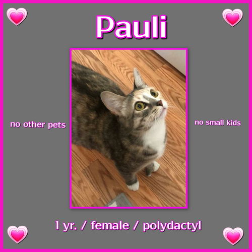 Pauli