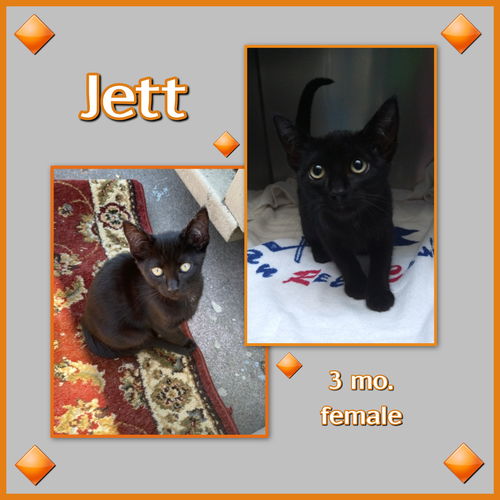 Jett