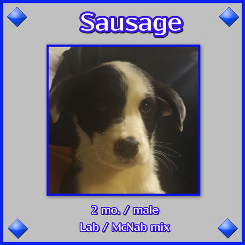 Sausage