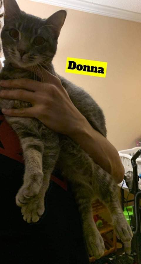 Donna