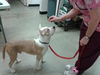 Buster