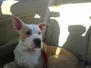 Buster