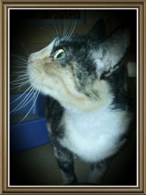 Esmeralda