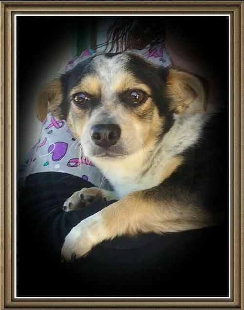 Princess Daisy