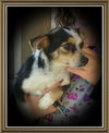 Princess Daisy