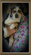Princess Daisy