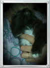 Rubi