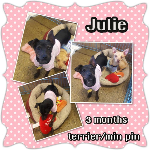 Julie
