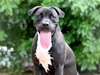 GROVER - Photo 1