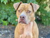 CHANCE - Photo 1