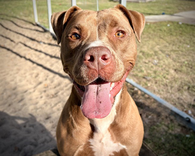 Sally