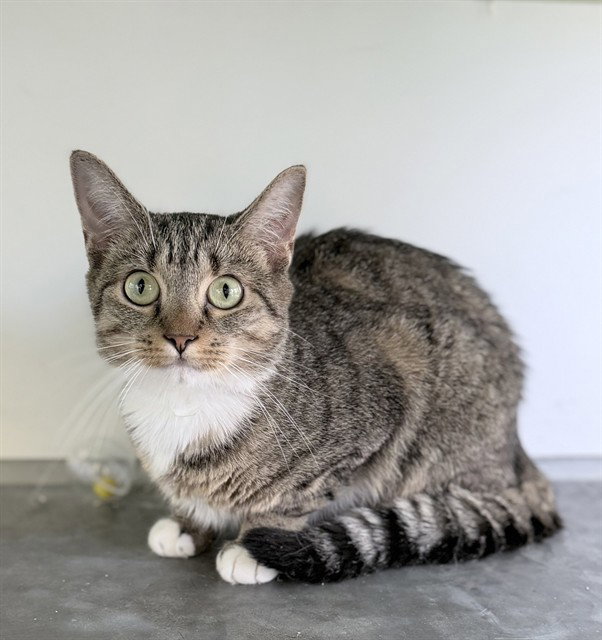 16TH CENTURY