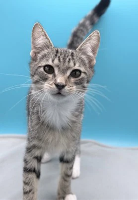 Prudence