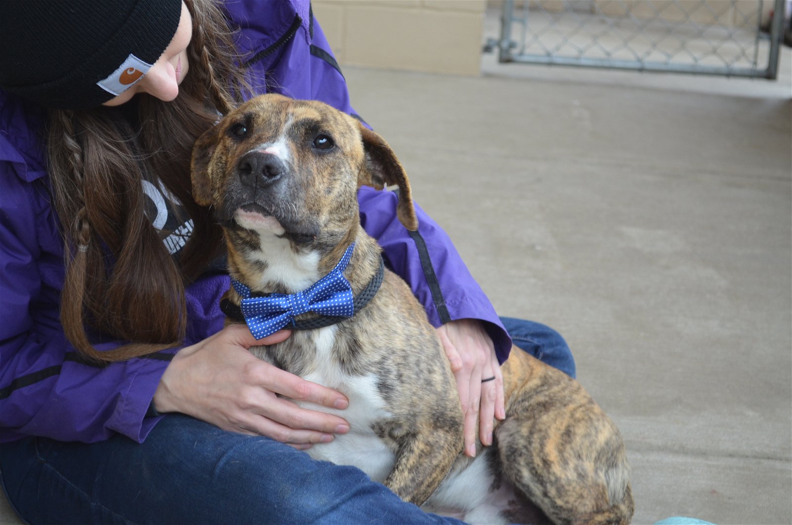 adoptable Dog in McKinney, TX named Mott (In Foster)