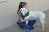 adoptable Dog in  named Priscilla