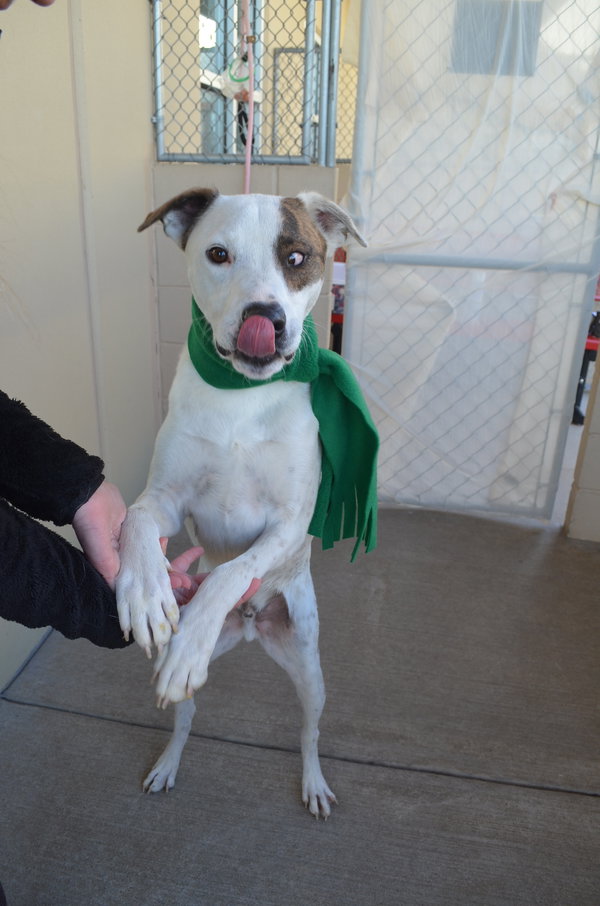 Ramen