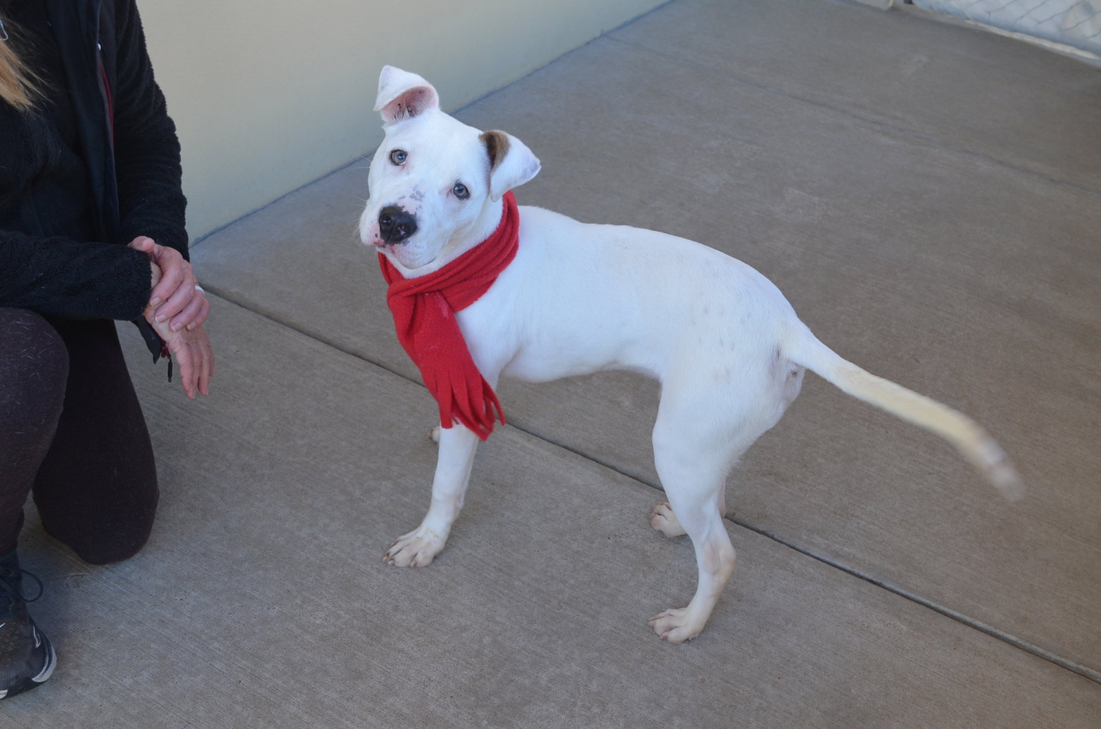 Sprout (In Foster)