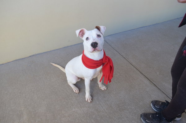 Sprout (In Foster)