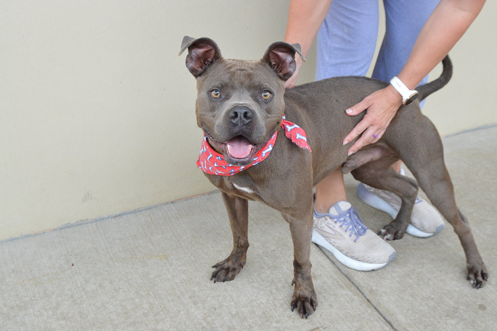 Rover Image