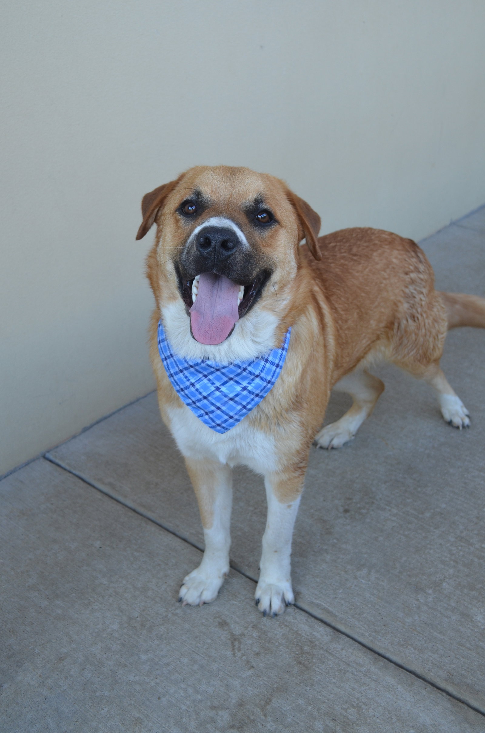 Caramel