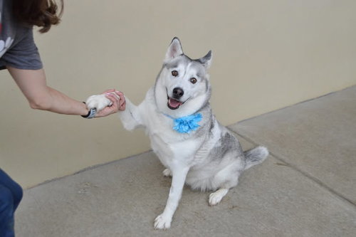 Luna