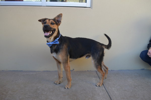 Jetty (In Foster)