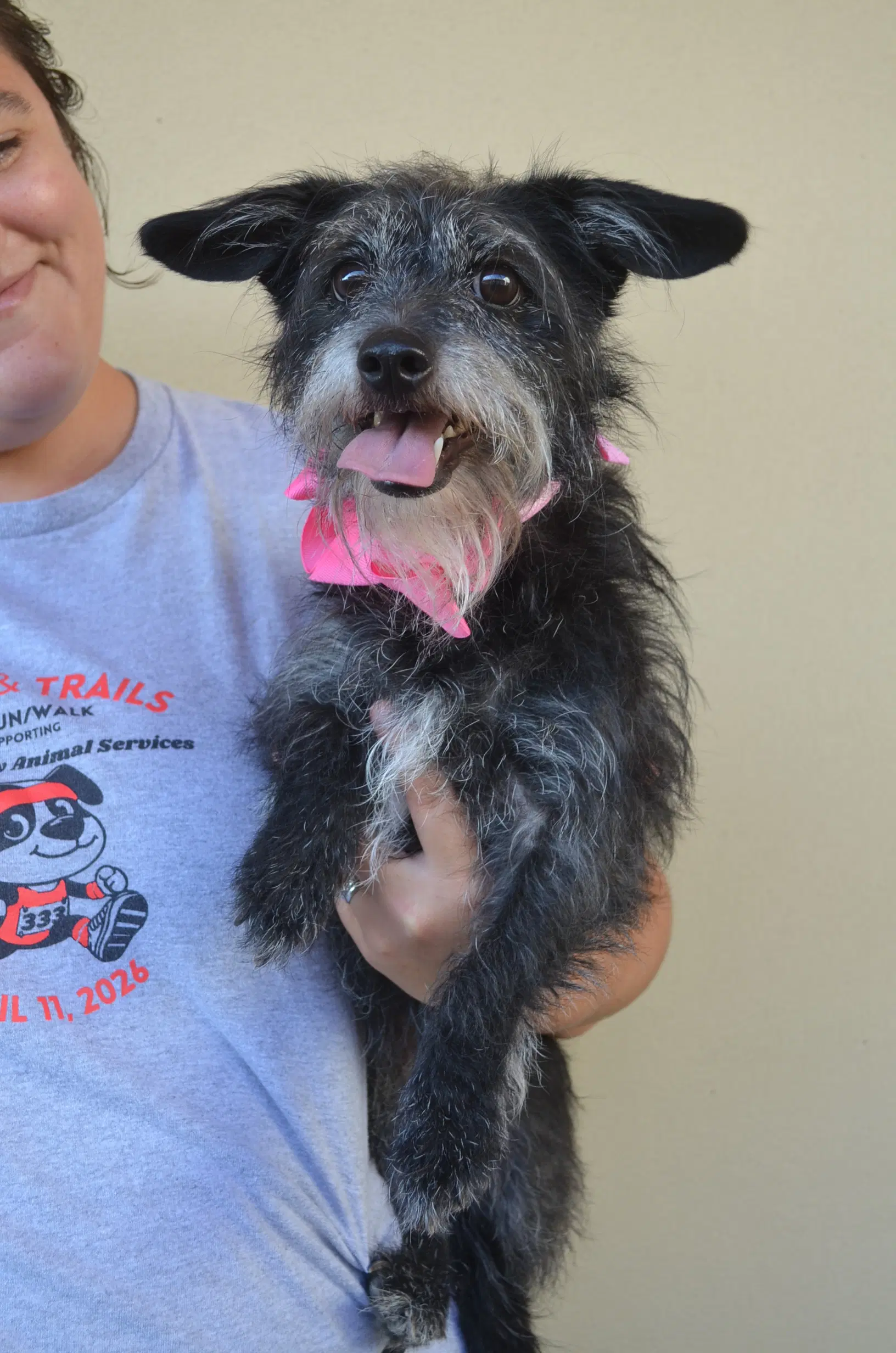Ladybug - Terrier