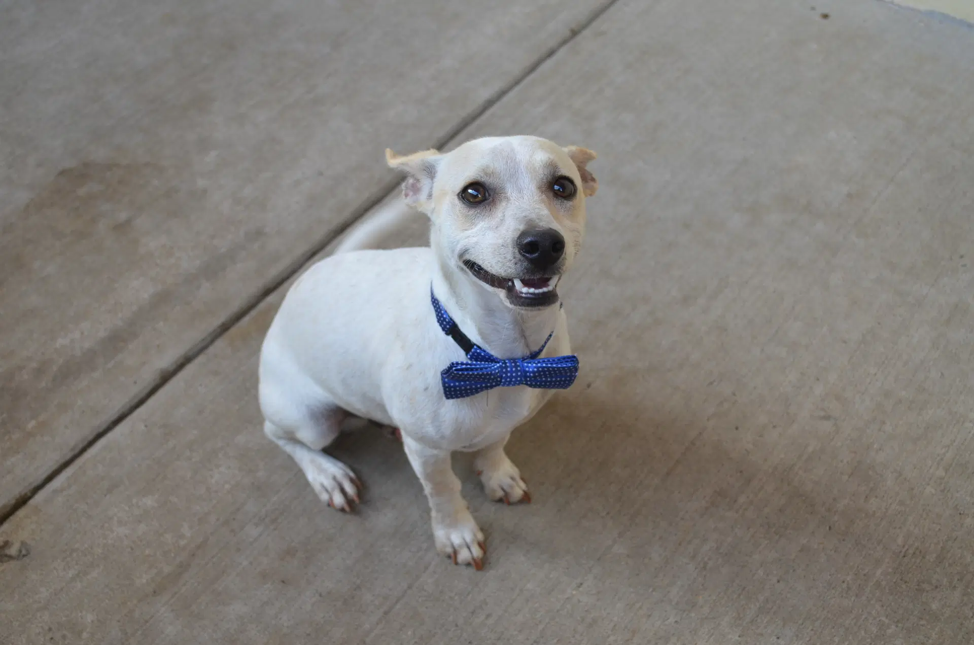 Benny image 3