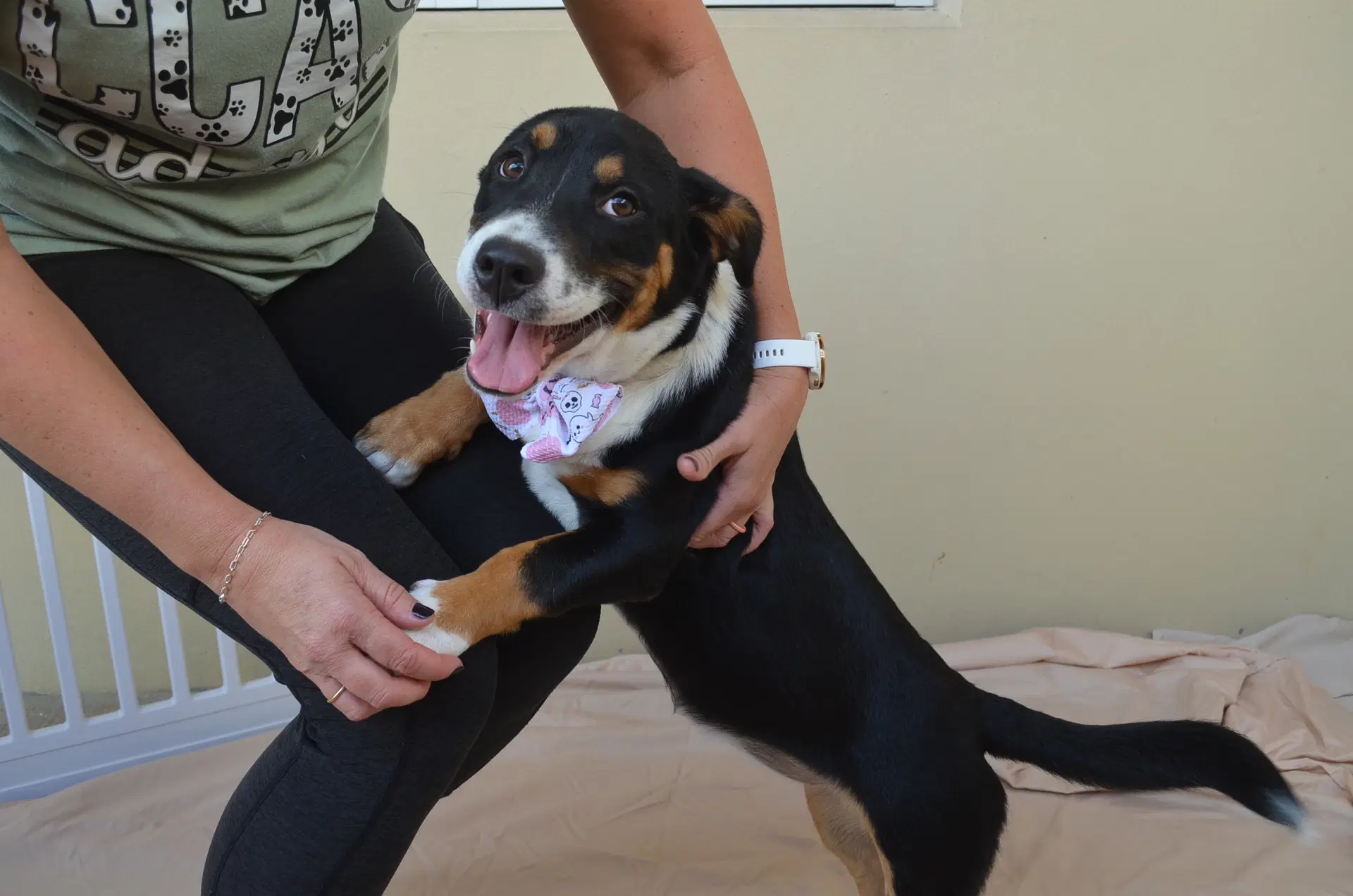 Millie image 3