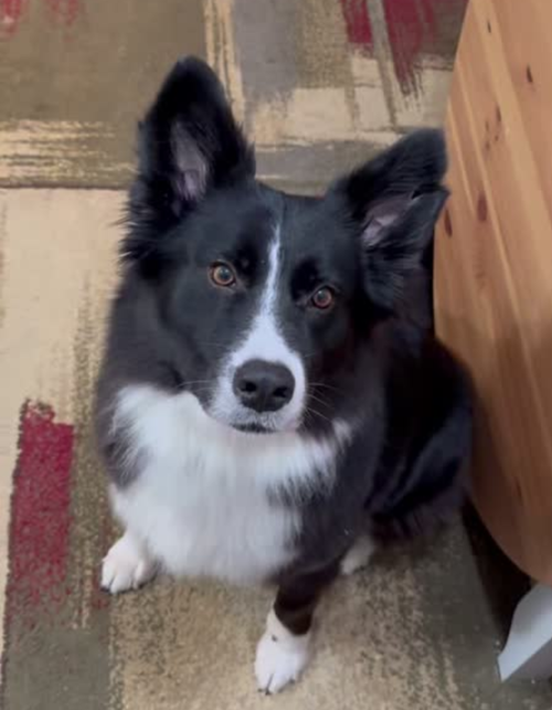 Bonnie photo 2