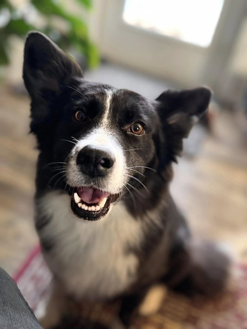 Bonnie photo 4