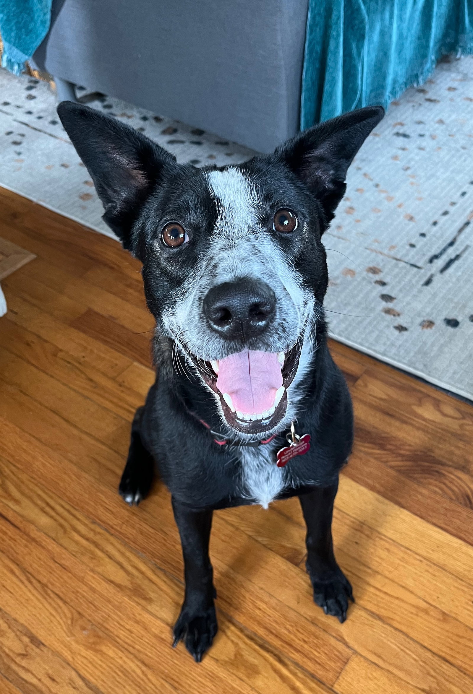 Winnie