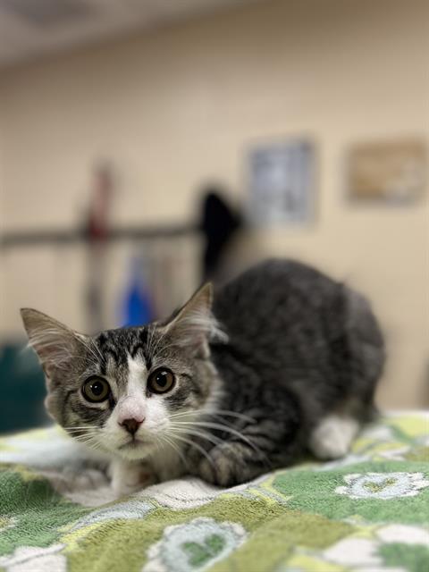 Alexandra