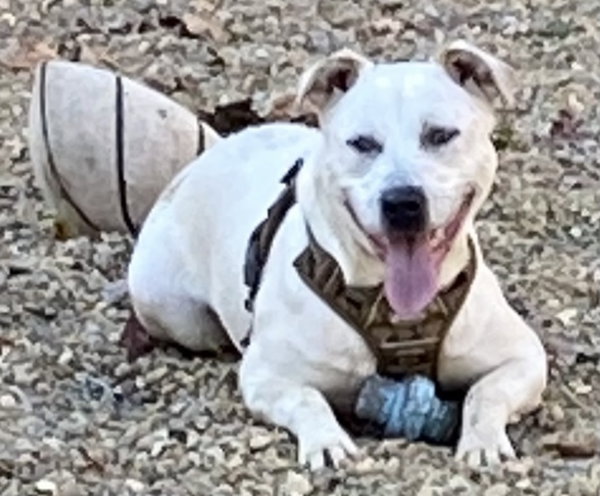 Sinatra